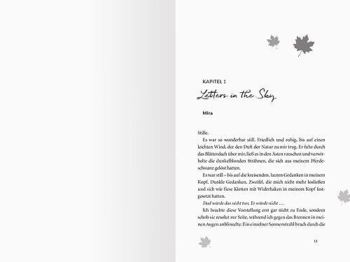 Maple-Creek-Reihe, Band 1: Meet Me in Maple Creek (der SPIEGEL-Bestseller-Erfolg von Alexandra Flint) (Maple-Creek-Reihe, 1)