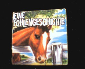 Ein Pixi-Buch 107. Eine Fohlengeschichte