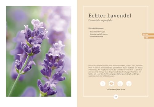 Apotheken Umschau: Heilpflanzen: Wie sie wirken und uns helfen, gesund zu bleiben (Die Buchreihe der Apotheken Umschau, Band 4)