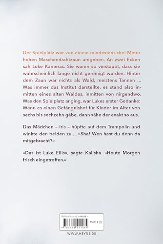 Das Institut: Roman - Die Buchvorlage zur Serie