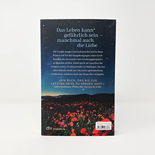 Das Leuchten vergangener Sterne: Roman | Ein Frühling in Andalusien - eine Frau zwischen zwei rivalisierenden Archäologen - ein gefährlicher Auftrag: Rena Fischers neuer spannungsreicher Liebesroman