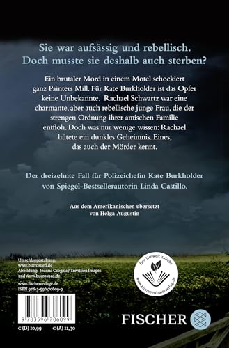 Blinde Furcht: Thriller | Spannender Thriller bei den Amischen (Kate Burkholder ermittelt, Band 13)