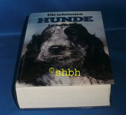 Die schönsten Hunde Geschichten