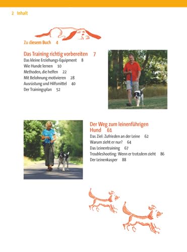 Zufrieden an der Leine