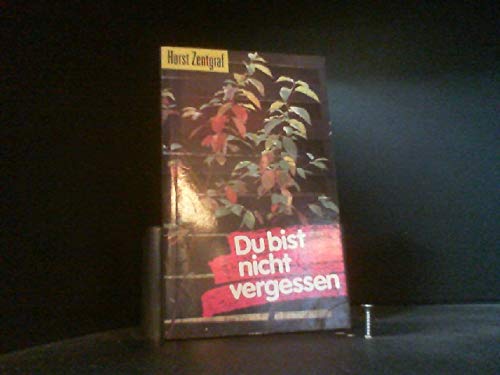 Du bist nicht vergessen (Edition C - Taschenbücher)