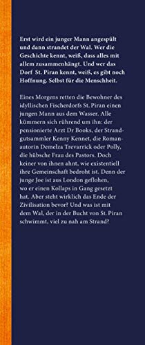 Der Wal und das Ende der Welt: Roman