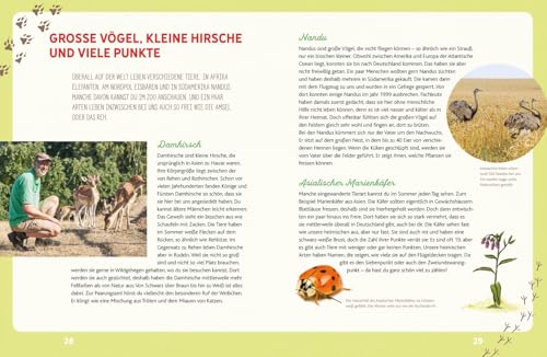 Weißt du, wo die Tiere wohnen?: Eine Entdeckungsreise durch Wiese und Wald: Interessantes Kinderbuch über die Natur und die Tierwelt ab 6 Jahren