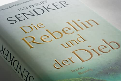 Die Rebellin und der Dieb: Roman