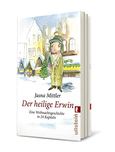 Der heilige Erwin: Eine Weihnachtsgeschichte in 24 Kapiteln