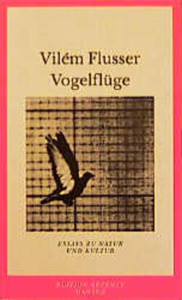 Vogelflüge