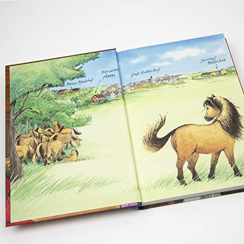 Ponyherz 6: Nachts im Stall (6)