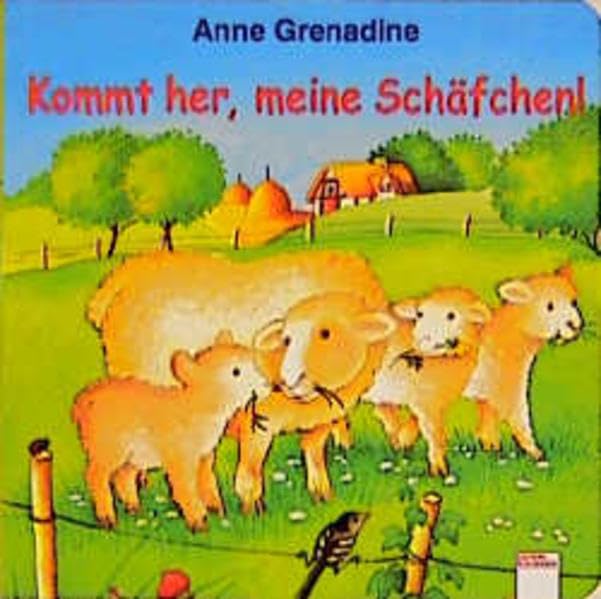 Kommt her, meine Schäfchen! (Edition Bücherbär)