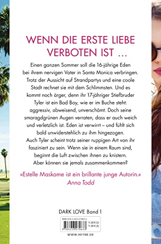 DARK LOVE - Dich darf ich nicht lieben: Roman (Dark-Love-Serie, Band 1)