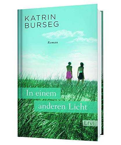 In einem anderen Licht: Roman