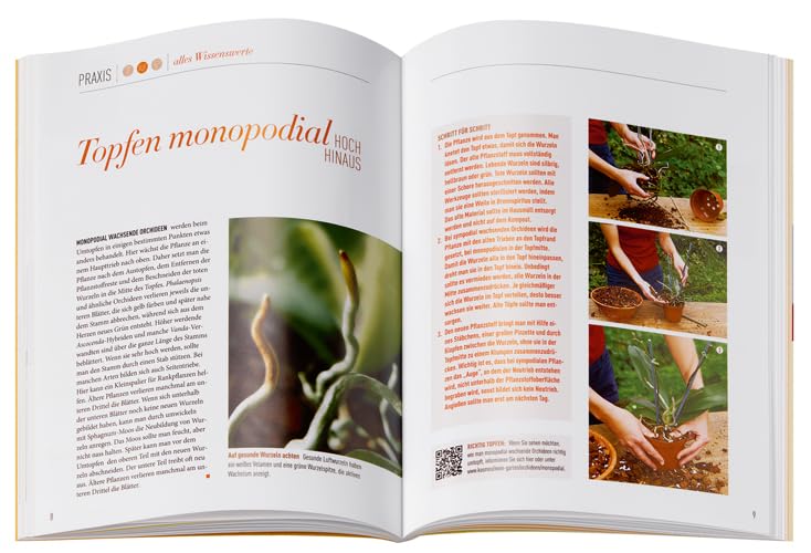 Orchideen (Mein Garten): Gestalten Pflanzen Pflegen