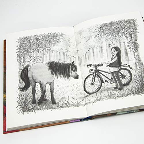 Ponyherz 6: Nachts im Stall (6)