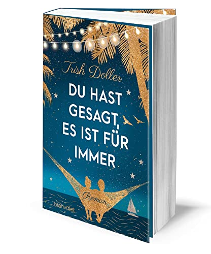 Du hast gesagt, es ist für immer: Roman