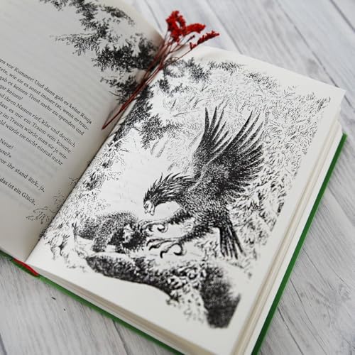 Ronja Räubertochter: Astrid Lindgren Kinderbuch-Klassiker. Die Abenteuer-Geschichten der Räubertochter über Freundschaft und die Liebe zur Natur. ... Selbstbestimmung und die Liebe zur Natur
