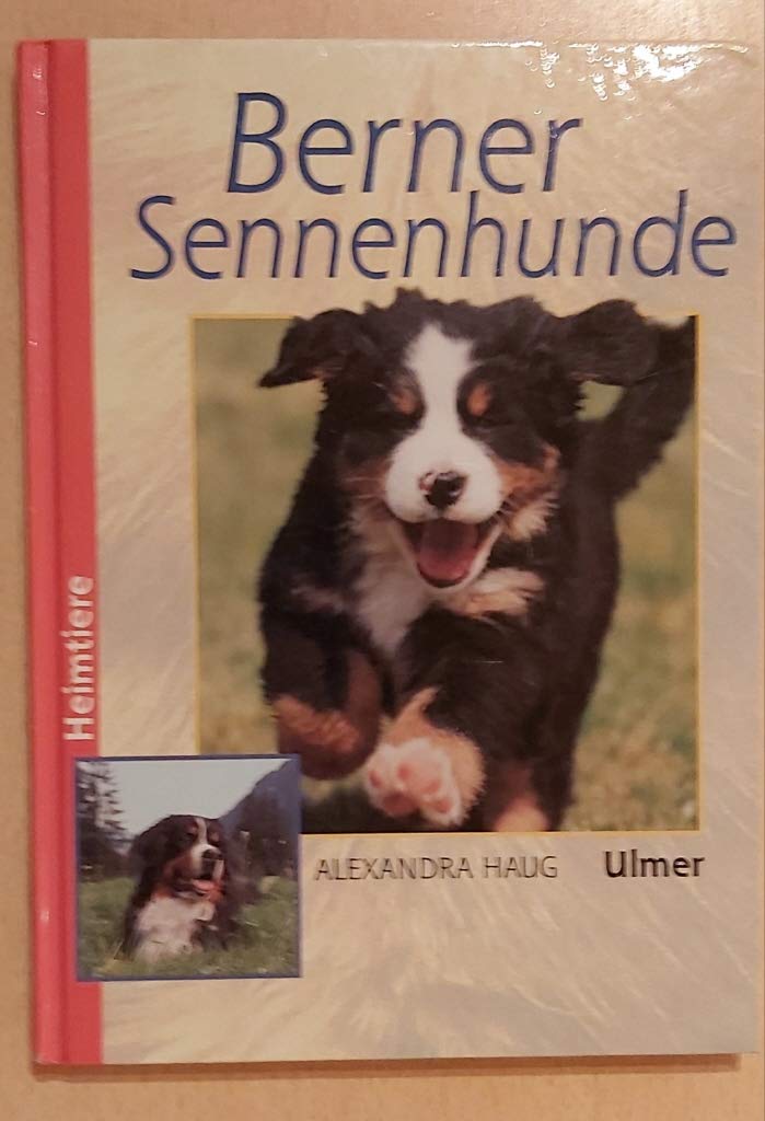 Berner Sennenhunde (Heimtiere)