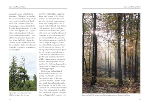 Menschenspuren im Wald: Ein Waldführer der besonderen Art - erkennen, verstehen, einmischen