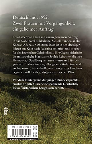 Bühlerhöhe: Roman | Ein lebendiger Gesellschaftsroman - so spannend wie ein Krimi!