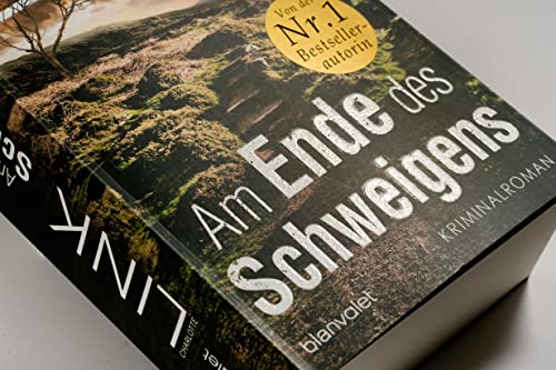 Am Ende des Schweigens: Kriminalroman