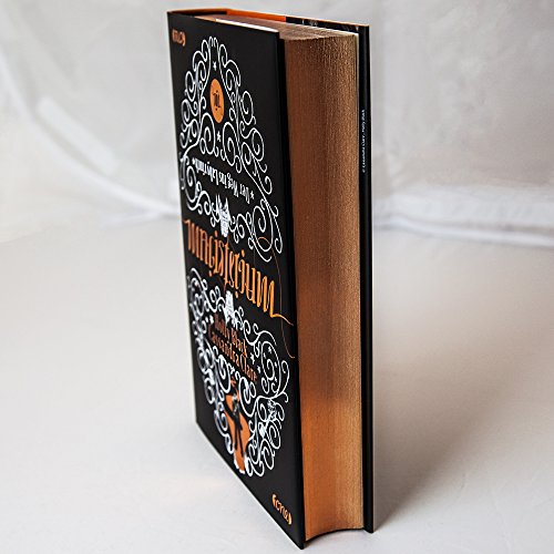 Magisterium - Der Weg ins Labyrinth: Teil 1. Band 1