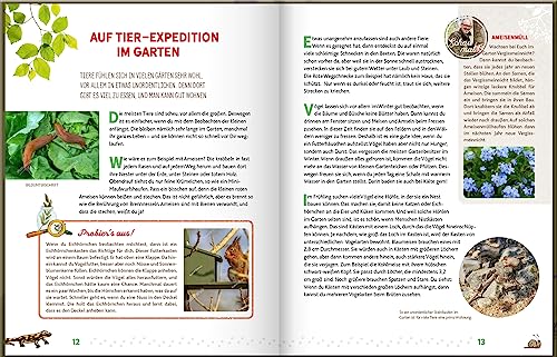 Weißt du, wo die Tiere wohnen?: Eine Entdeckungsreise durch Wiese und Wald: Interessantes Kinderbuch über die Natur und die Tierwelt ab 6 Jahren