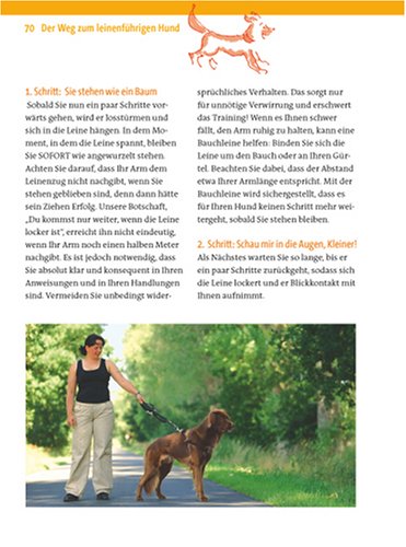 Zufrieden an der Leine