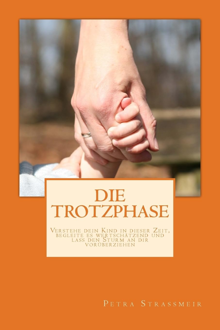 Die Trotzphase: Verstehe dein Kind in dieser Zeit, begleite es wertschätzend und lass den Sturm an dir vorüberziehen