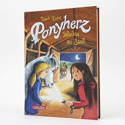 Ponyherz 6: Nachts im Stall (6)