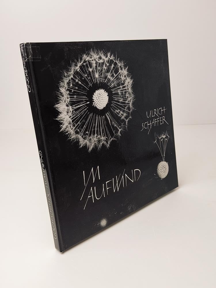 Im Aufwind.