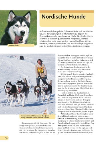 Hunde, die besten Freunde: Rassen, Haltung, Erziehung und Beschäftigung