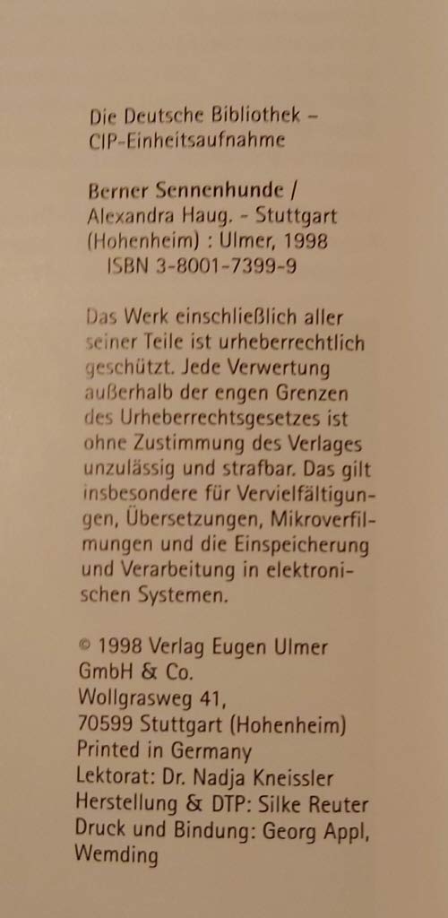Berner Sennenhunde (Heimtiere)