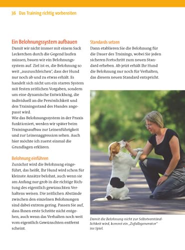 Zufrieden an der Leine