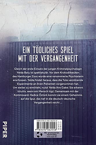 Schattenmauer: Thriller