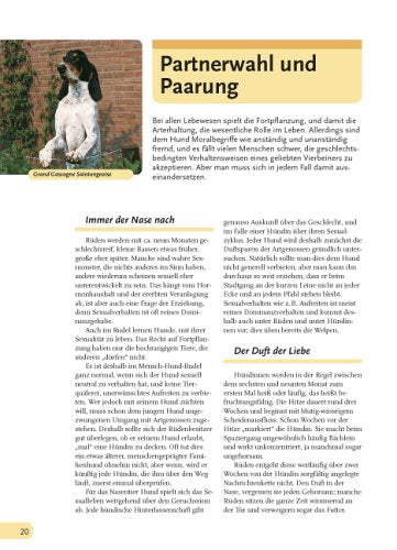 Hunde, die besten Freunde: Rassen, Haltung, Erziehung und Beschäftigung