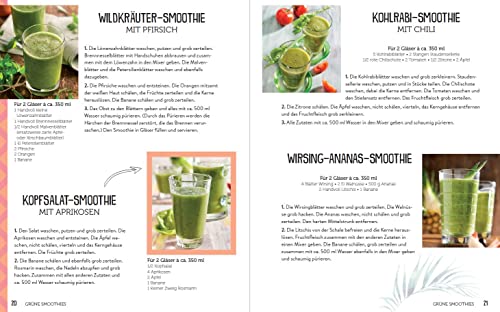 365 Smoothies, Powerdrinks & Co.: Smoothies, Shakes, Säfte, Limonaden, frische Detox-Wässer und bunte Smoothie Bowls (365 Rezepte)