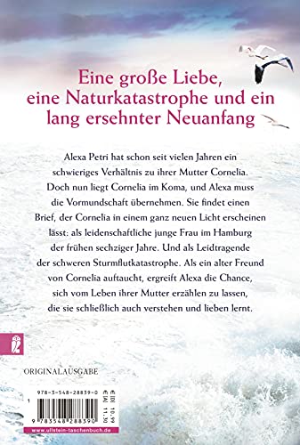 Sturmherz: Roman | Eine tragische Mutter-Tochter-Geschichte vor dem dramatischen Hintergrund der Hamburger Sturmflutkatastrophe