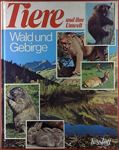 Wald und Gebirge - Tiere und ihre Umwelt