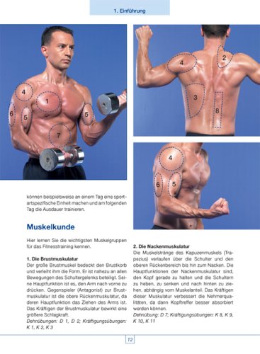 Fitness für Kampfsportler