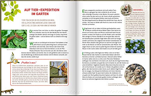 Weißt du, wo die Tiere wohnen?: Eine Entdeckungsreise durch Wiese und Wald: Interessantes Kinderbuch über die Natur und die Tierwelt ab 6 Jahren
