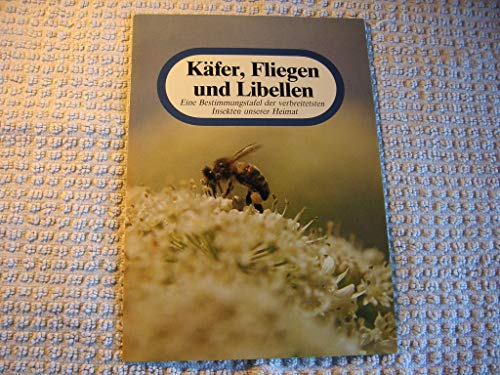 Käfer, Fliegen und Libellen. Eine Bestimmungstafel der verbreitetsten heimischen Insekten.