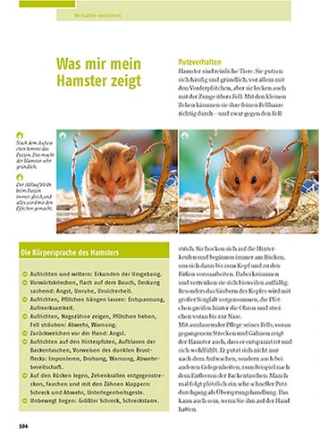 Mein Hamster