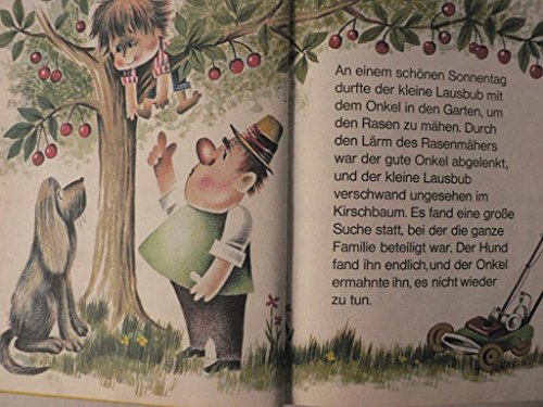 Der kleine Lausbub und seine großen Streiche