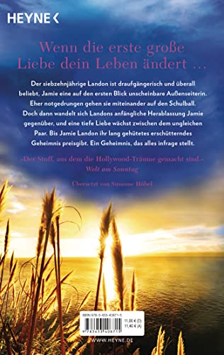 Zeit im Wind: Roman