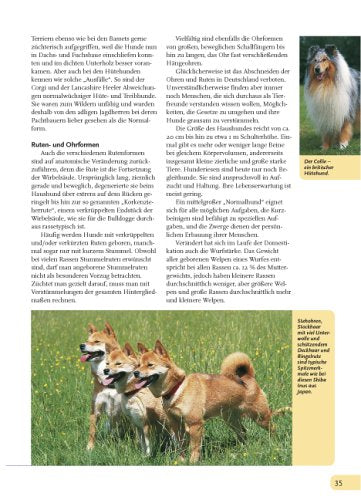 Hunde, die besten Freunde: Rassen, Haltung, Erziehung und Beschäftigung