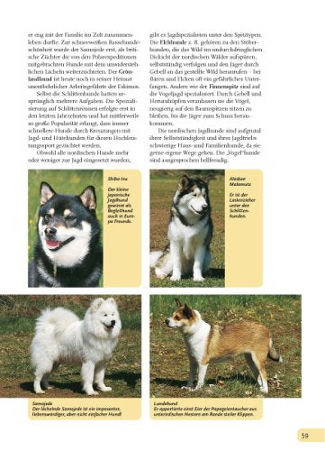 Hunde, die besten Freunde: Rassen, Haltung, Erziehung und Beschäftigung