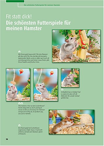 Mein Hamster