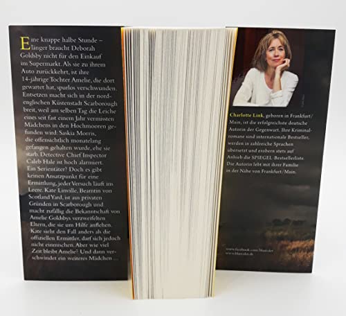 Die Suche: Kriminalroman (Die Kate-Linville-Reihe, Band 2)